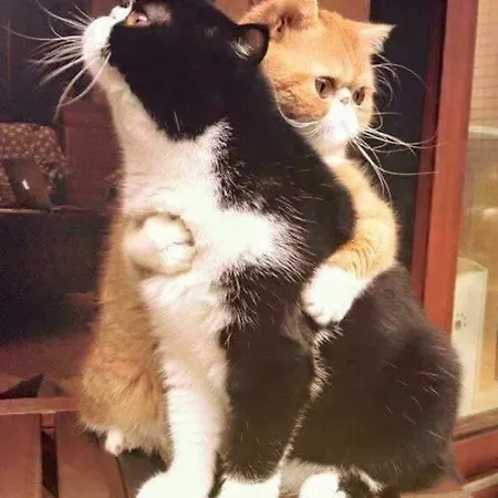 Apartamento A Sinos *