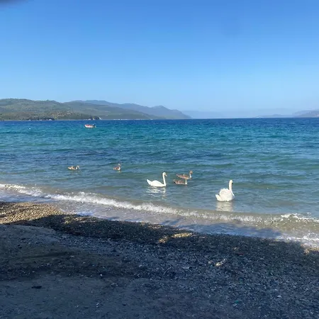 A Sinos Apartament Agiokampos (Evia)