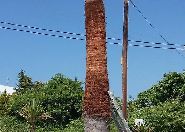 A Sinos * Agiokampos (Evia)