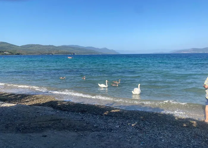 A Sinos Appartement Agiokampos (Evia)